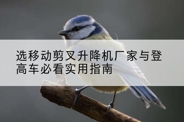 电白电动升降机厂家-选移动剪叉升降机厂家与登高车必看实用指南