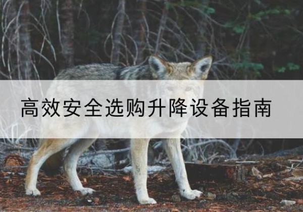 电白升降货梯厂家推荐-*安全选购升降设备指南