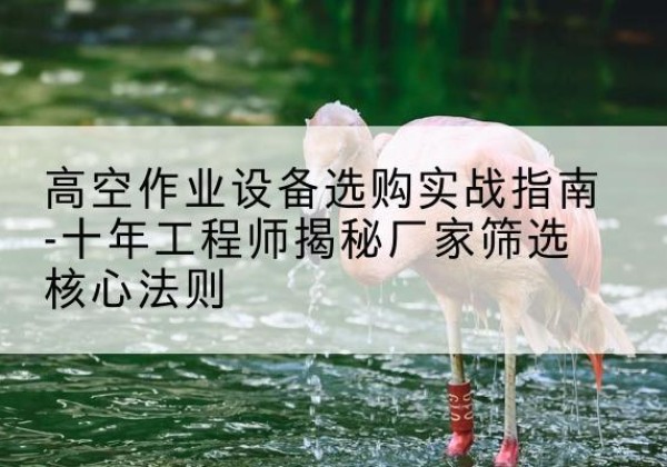 电白剪叉式升降机厂家-高空作业设备选购实战指南-十年工程师揭秘厂家筛选核心法则