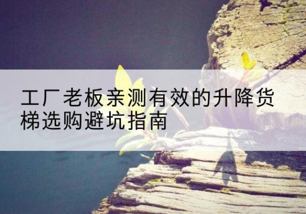 电白升降货梯怎么选-工厂老板亲测有效的升降货梯选购避坑指南